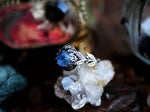 Charger l&#39;image dans la galerie, RÉSERVÉE HÉLÈNE - Bague Nacre &amp; Feuilles - Argent 925
