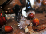 Charger l'image dans la galerie, RÉSERVÉ MEL. - Bague Chat Sorcier &amp; Zircon noir - Argent 925
