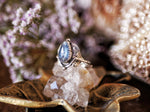 Charger l'image dans la galerie, Bague Art Nouveau Pt. II - Kyanite teal &amp; Argent 925
