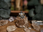 Charger l'image dans la galerie, Bague Ex-Voto III - Argent 925 &amp; Laiton
