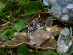 Charger l'image dans la galerie, Bague Elfique IV - Améthyste - Argent 925
