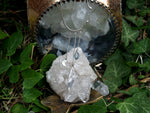 Charger l'image dans la galerie, Tour d'oreille Elfique - Fluorine - Argent 925
