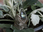 Charger l'image dans la galerie, RÉSERVÉE - Bague Elfique - Ormeau &amp; Quartz - Argent 925
