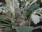 Charger l'image dans la galerie, RÉSERVÉE - Bague Elfique - Ormeau &amp; Quartz - Argent 925
