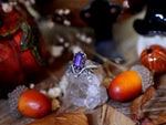 Charger l'image dans la galerie, Bague Chauve Souris II - Améthyste - Argent 925
